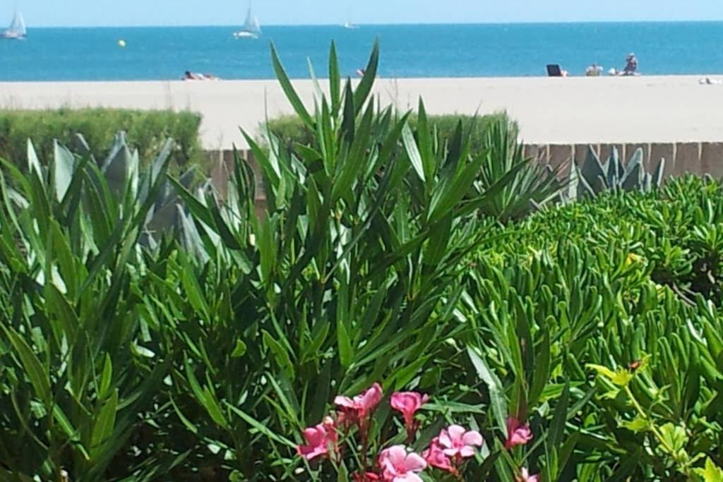 Cros Mer Et Piscine Saint-Pierre-la-Mer  Exterior foto